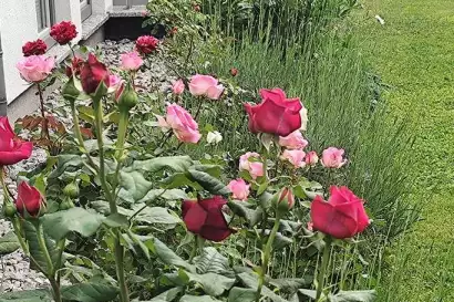 05_appartement_taschler_zillertal