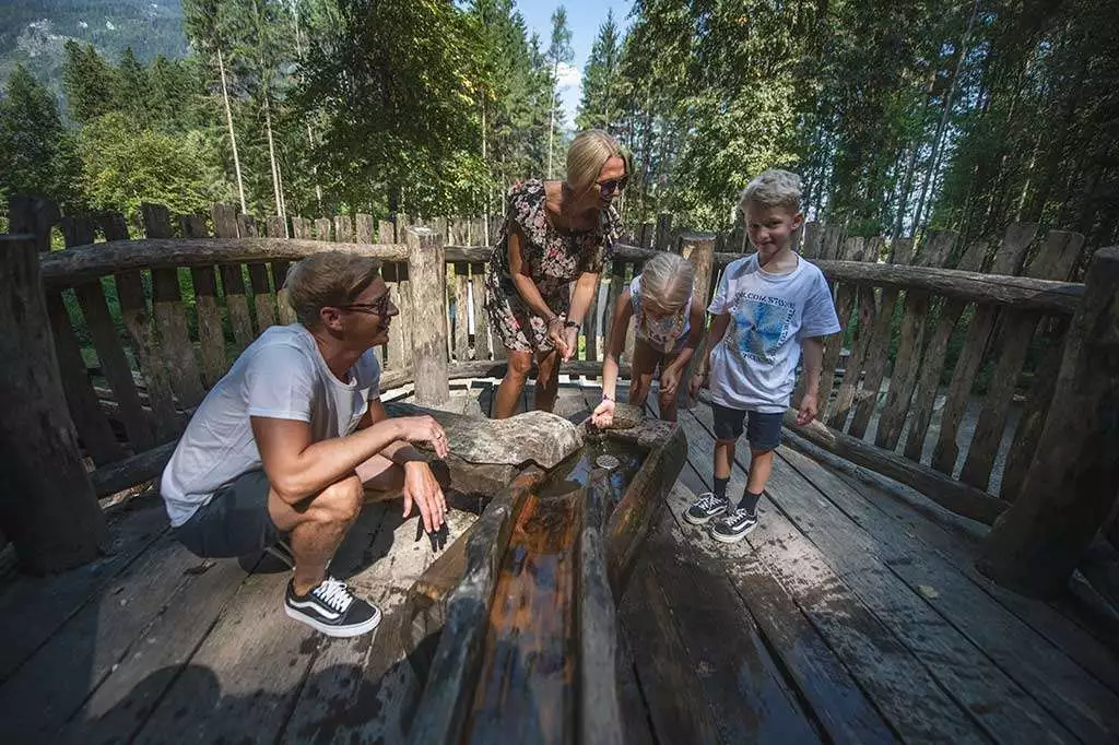 Familie im Waldspielplatz